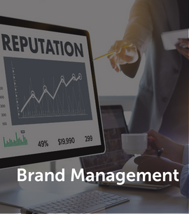 Brand Management